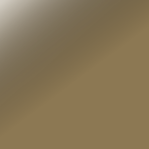 Keiser functional trainer