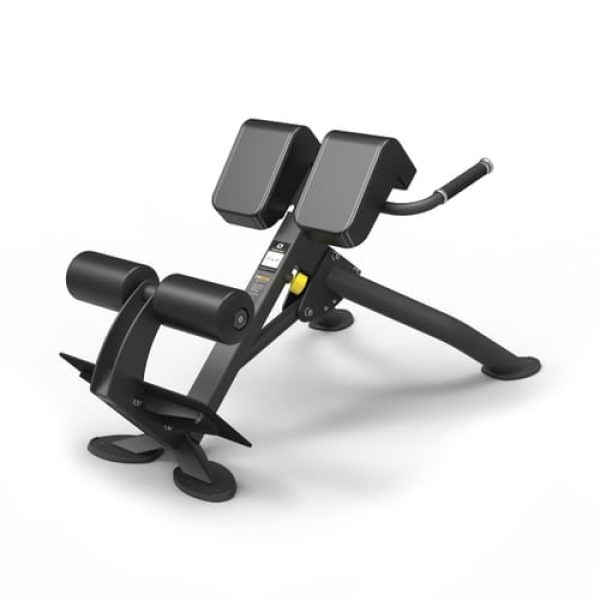 Spirit Back Extension Bench