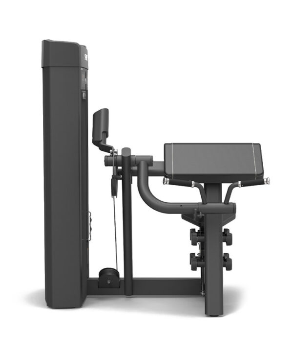Spirit 43 Series Biceps Curl - Image 3