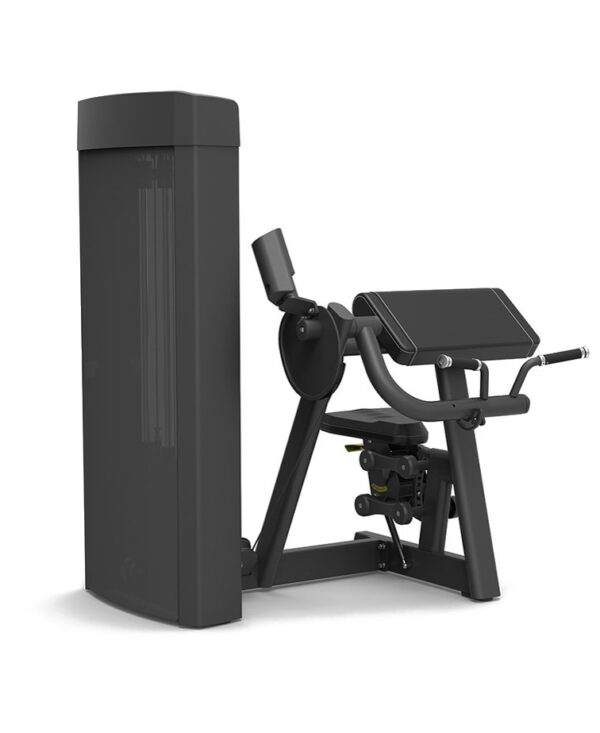 Spirit 43 Series Biceps Curl - Image 2