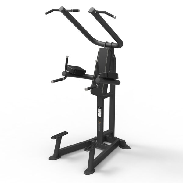 Spirit Chin / Dip / Leg Raise - Image 3