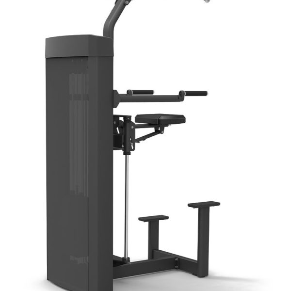 Spirit 43 Series Assisted Chin Dip