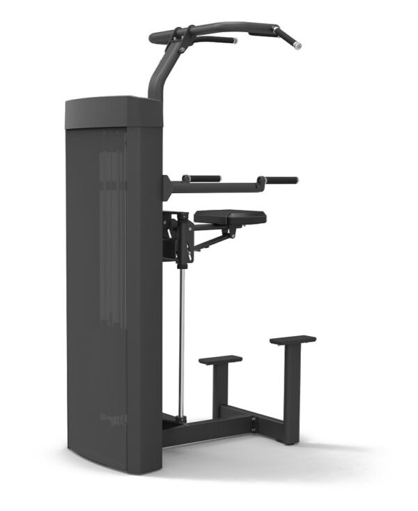 Spirit 43 Series Assisted Chin Dip - Image 2