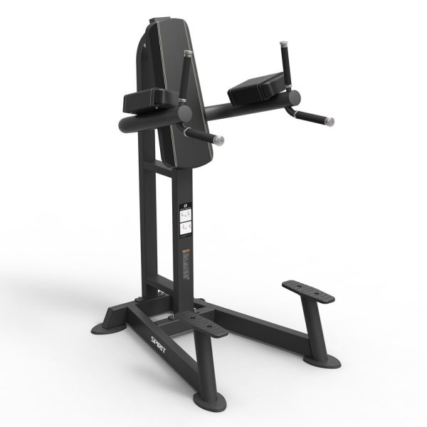 Spirit Leg Raise / Dip Bench
