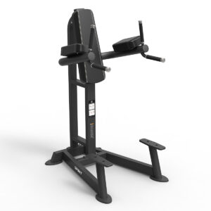 Spirit Leg Raise / Dip Bench
