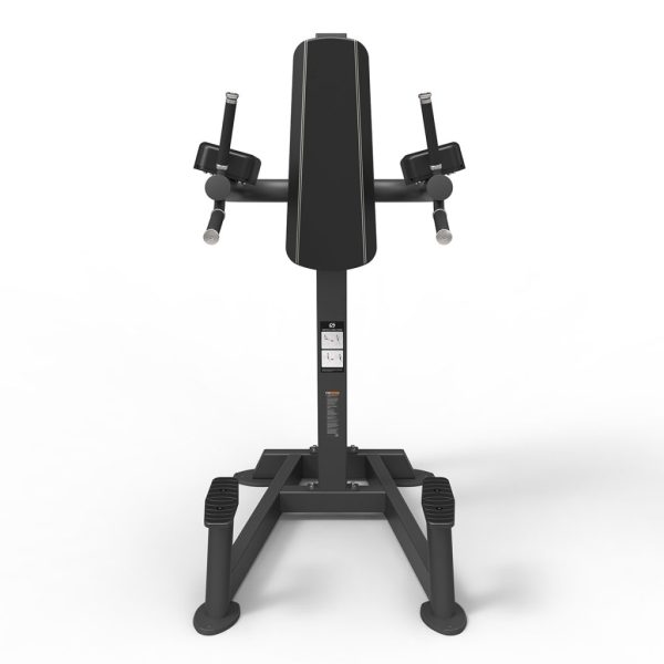 Spirit Leg Raise / Dip Bench