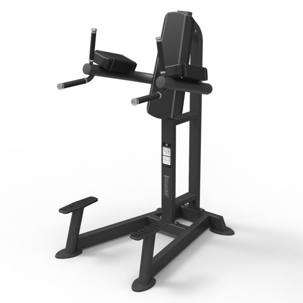 Spirit Leg Raise / Dip Bench - Image 3