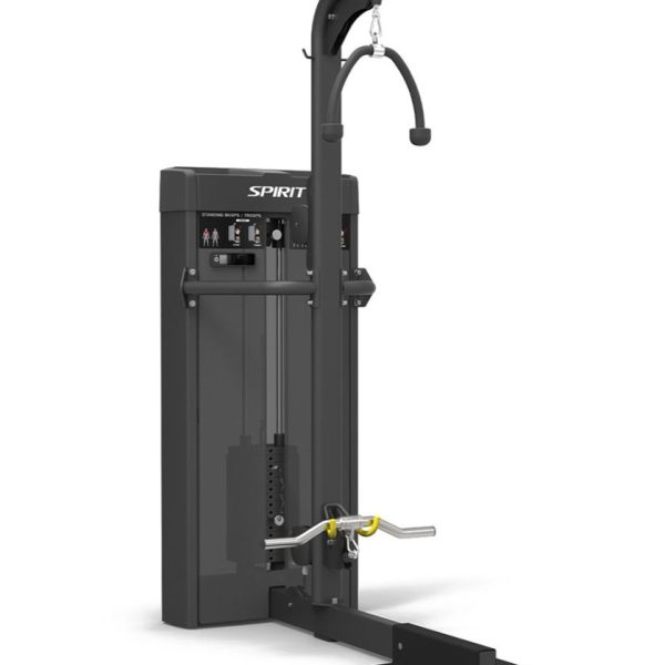 Spirit 43 Series Standing Biceps / Triceps