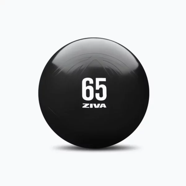 ZIVA Performance Anti-Burst Core-Fit Ball