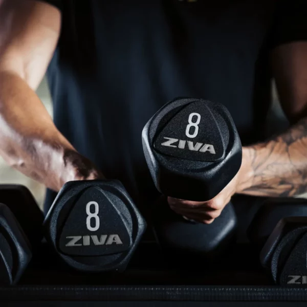 SL Hexagon Urethane Dumbbell Pairs (2kg Increments)