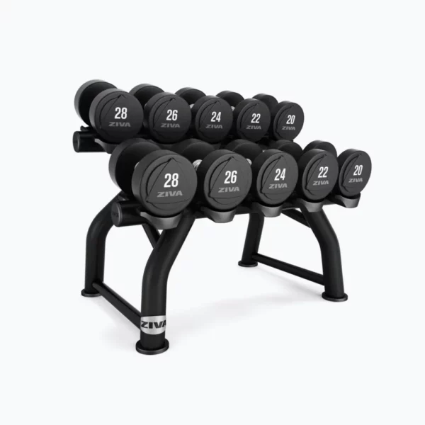 ZIVA ST2 5 Pair Horizontal Dumbbell Rack