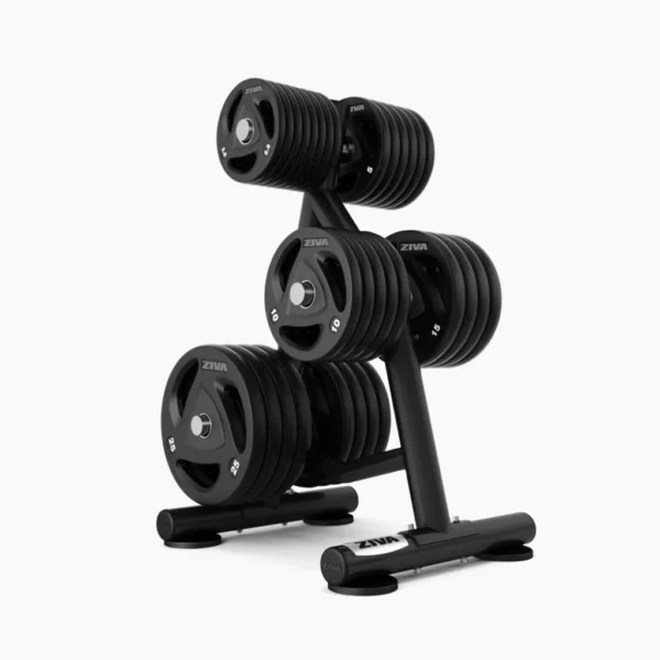 ZIVA ST2 Disc Storage Rack