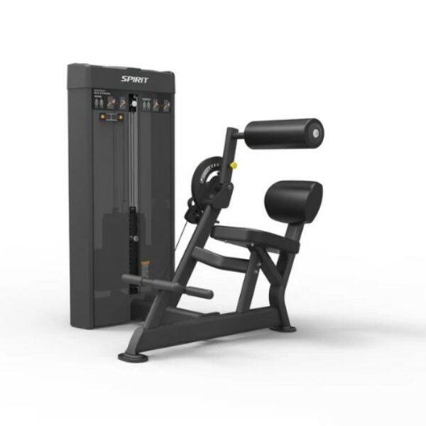 Spirit Dual Abdominal / Back Extension
