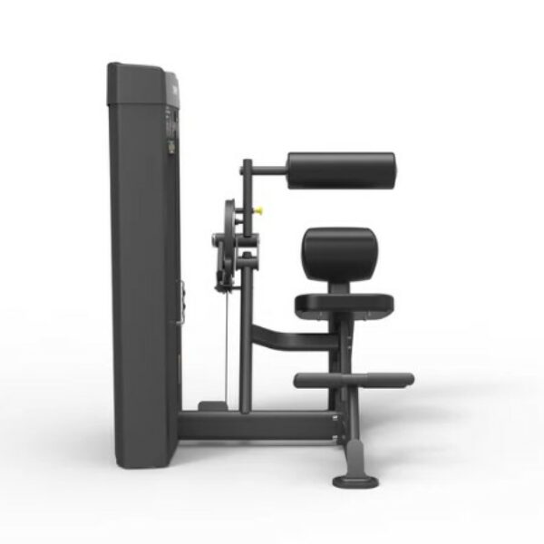 Spirit Dual Abdominal / Back Extension