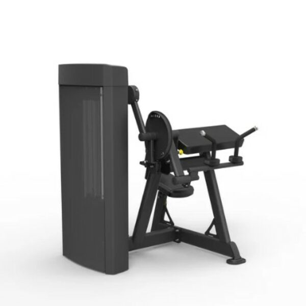 Spirit Dual Biceps Curl / Triceps Extension