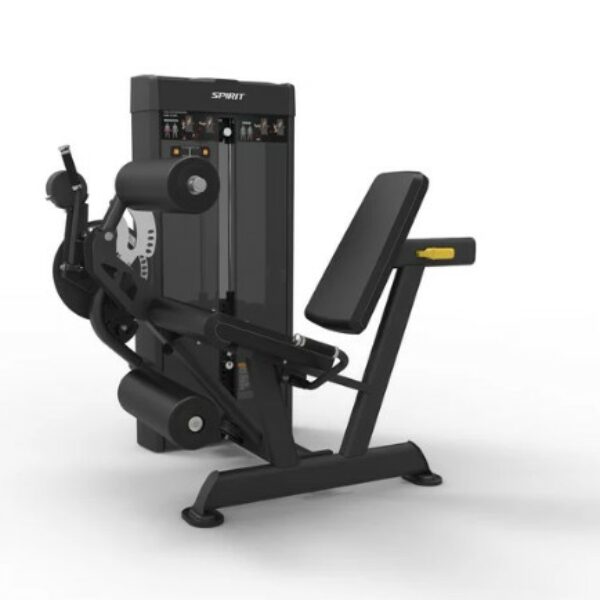 Spirit Dual Leg Extension / Leg Curl