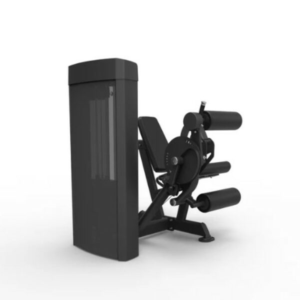 Spirit Dual Leg Extension / Leg Curl