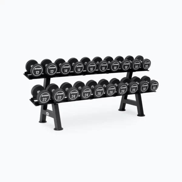 Ziva XP 10 Pair Dumbbell Racks with Saddles