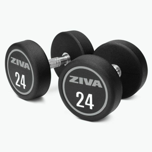 Ziva XP Urethane Dumbbell Pairs (2kg Increments)