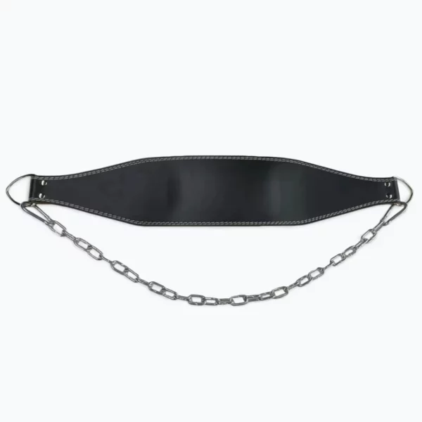 ZIVA Dip and Weight Belt