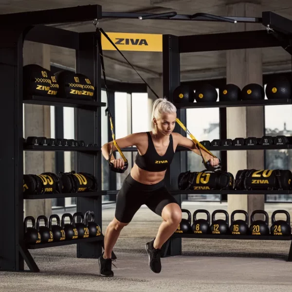 ZIVA EX Functional Training Station