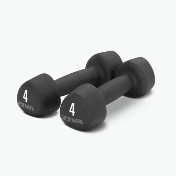 ZIVA Neoprene Studio Dumbbell Pair