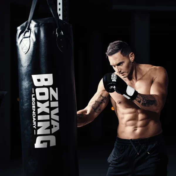 ZIVA Performance Boxing Gloves