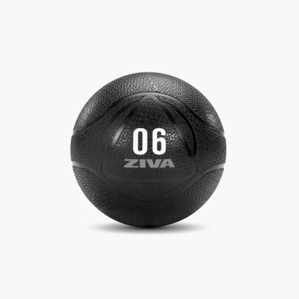 ZIVA Performance Medicine Balls
