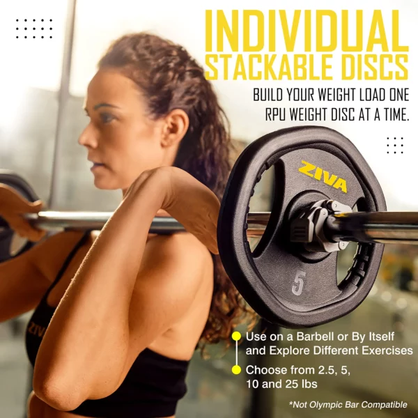 ZIVA Performance Studio Barbell Weight Plate Studio