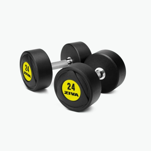 ZIVA SL Urethane Dumbbell Set (2kg increments)