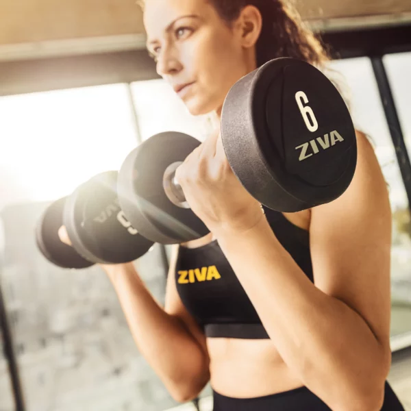 ZIVA ZVO Dumbbells Model