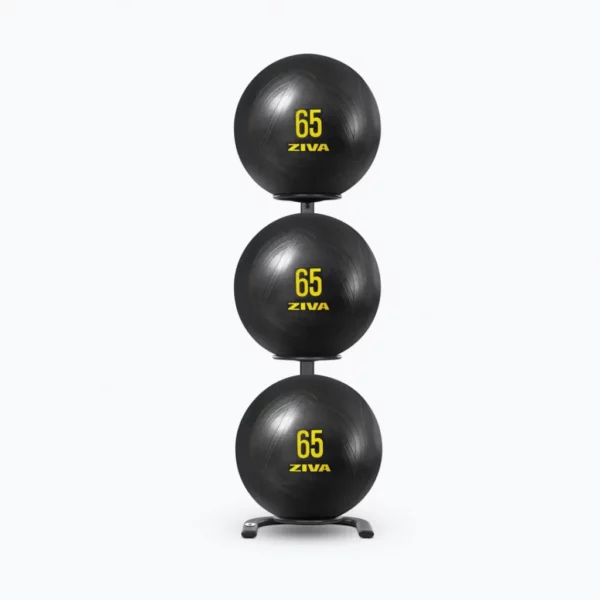ZIVACore Fit Ball Storage Rack