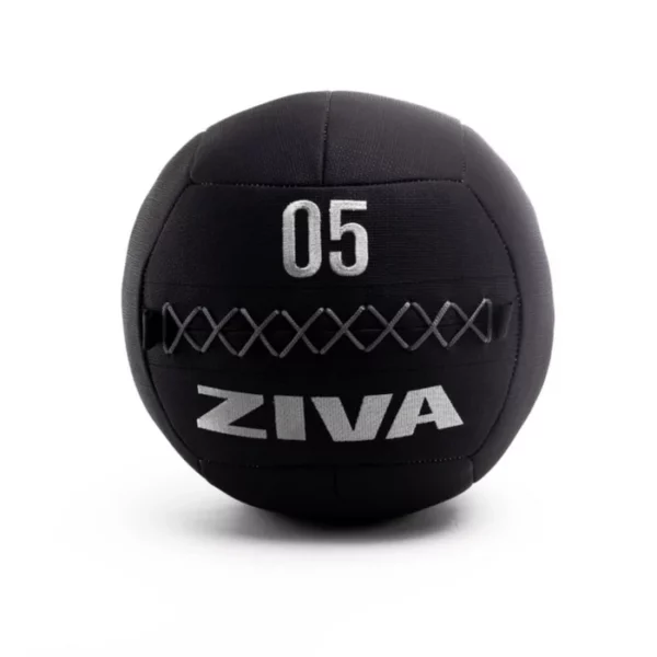 ZVO Premium Wall Ball (Black and Grey)