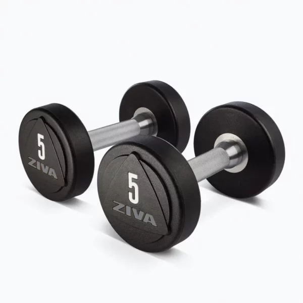 ZVO 1-10 kg Solid Steel Urethane Studio Dumbbell Set