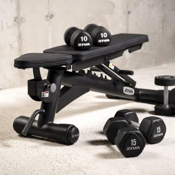 Ziva PU Studio Dumbbells and Fitness Bench