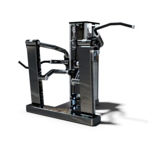 Standing Strength Bicep Tricep TWS