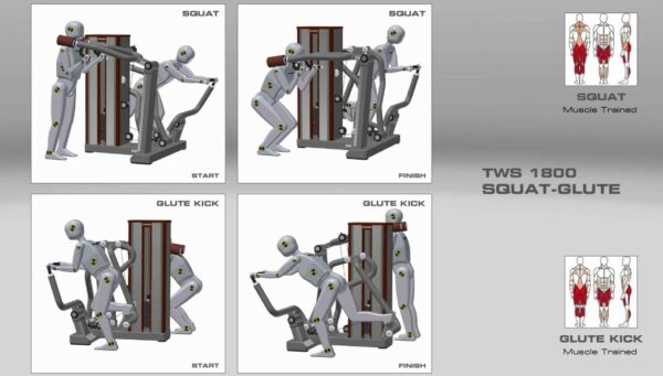Standing Strength Squat Glute Muscle Groups