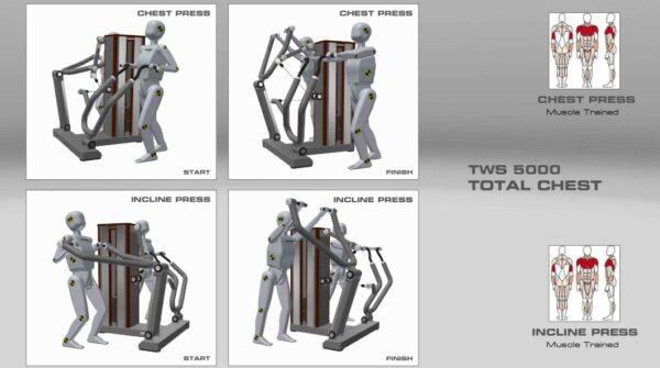 Standing Strength Total Chest Muscle Groups
