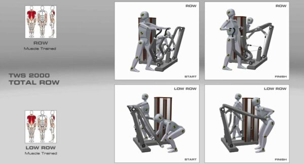 Standing Strength Total Row Low Row Muscle Groups
