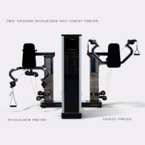 Twin Stack Standing Cable Chest and Shoulder Press