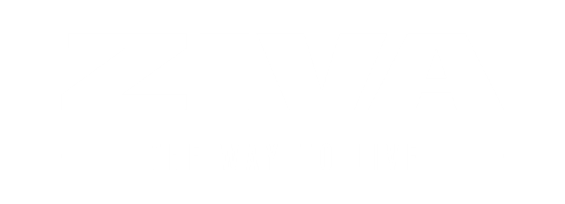 ZIVA png logo white ZIVA png logo white